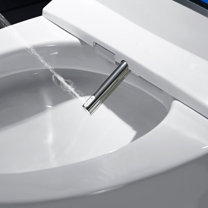 XSIX Smart Bidet Elongated Toilet Bidet, Warm Water Clear, Auto Flush